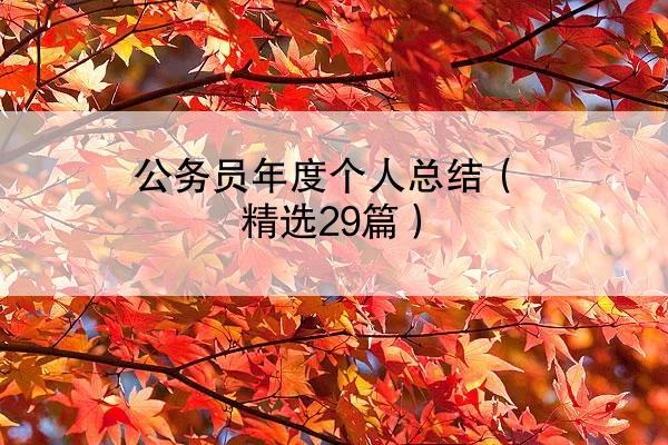 公务员年度个人总结（精选29篇）