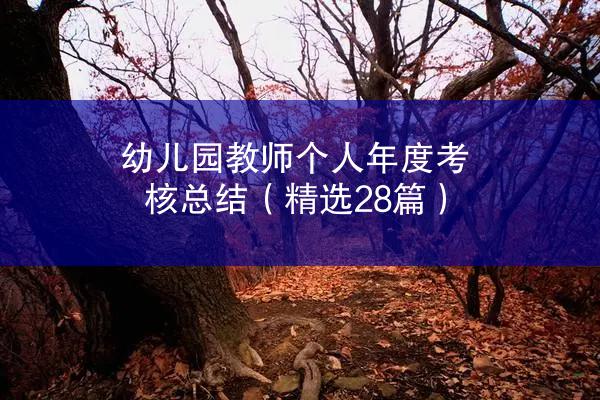 幼儿园教师个人年度考核总结（精选28篇）