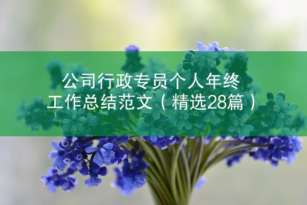 公司行政专员个人年终工作总结范文（精选28篇）