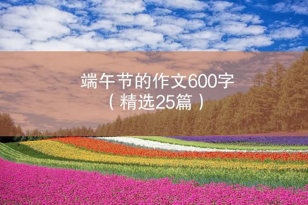 端午节的作文600字（精选25篇）