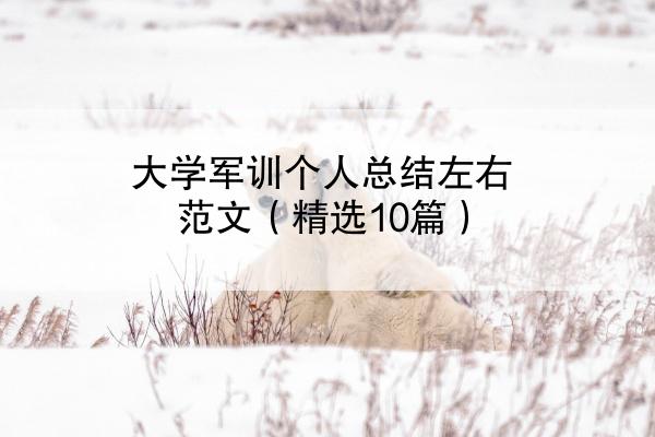 大学军训个人总结左右范文（精选10篇）