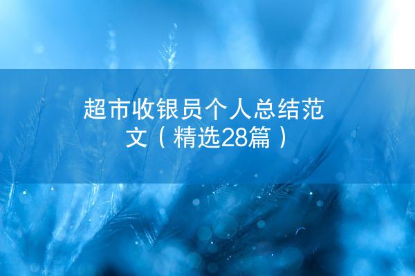 超市收银员个人总结范文（精选28篇）