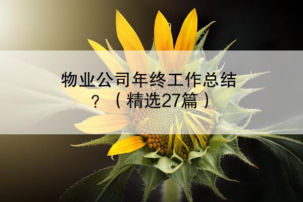 物业公司年终工作总结？（精选27篇）