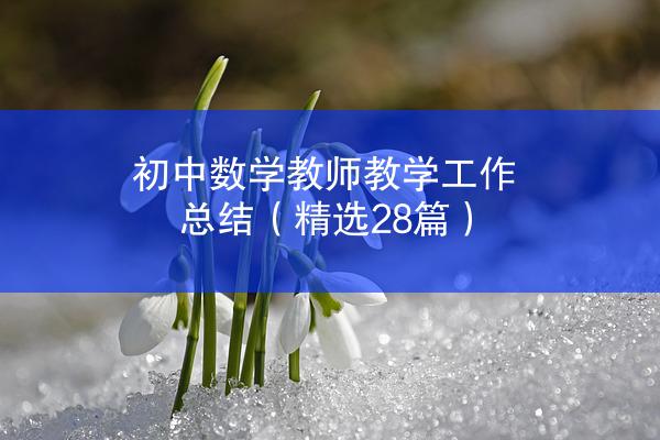 初中数学教师教学工作总结（精选28篇）