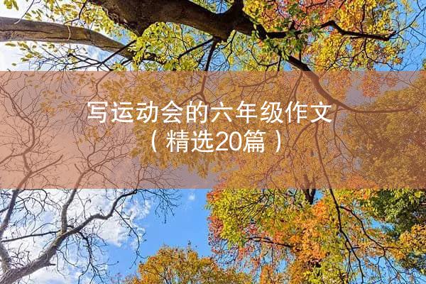 写运动会的六年级作文（精选20篇）