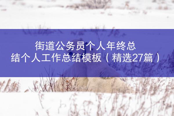 街道公务员个人年终总结个人工作总结模板（精选27篇）