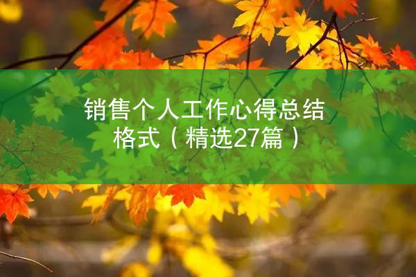 销售个人工作心得总结格式（精选27篇）