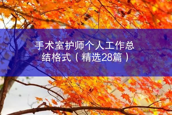 手术室护师个人工作总结格式（精选28篇）