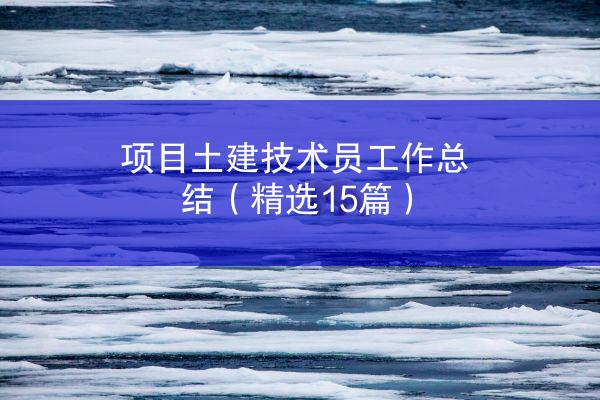 项目土建技术员工作总结（精选15篇）