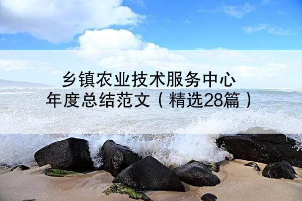 乡镇农业技术服务中心年度总结范文（精选28篇）