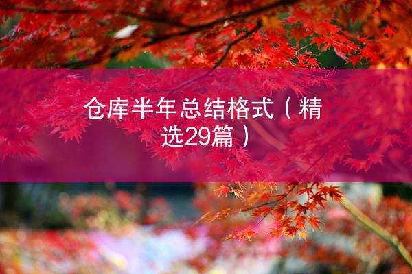 仓库半年总结格式（精选29篇）