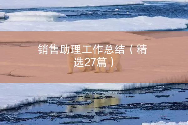 销售助理工作总结（精选27篇）