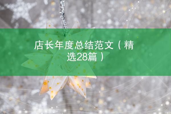 店长年度总结范文（精选28篇）