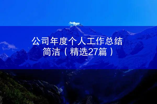 公司年度个人工作总结简洁（精选27篇）