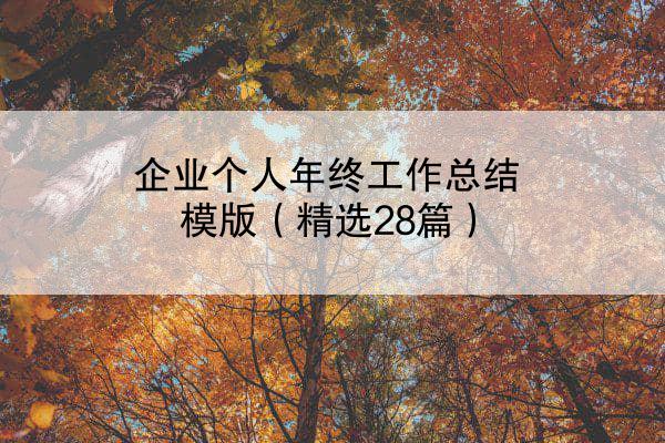 企业个人年终工作总结模版（精选28篇）