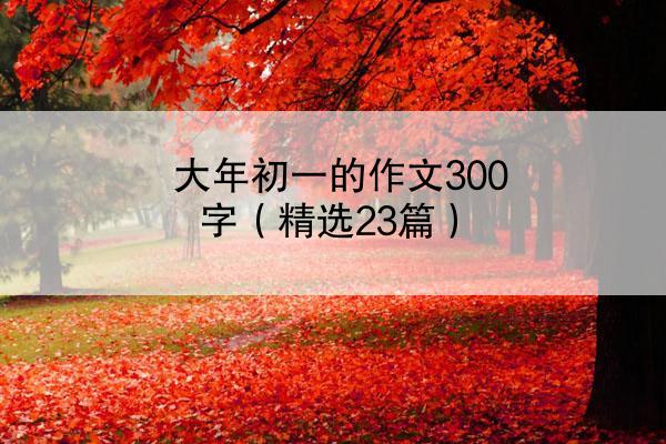 大年初一的作文300字（精选23篇）