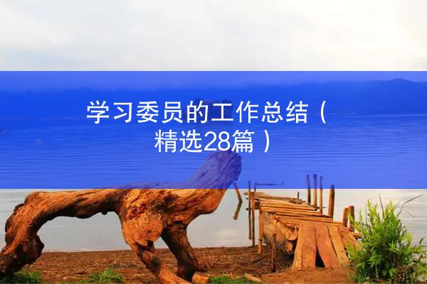 学习委员的工作总结（精选28篇）