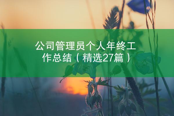 公司管理员个人年终工作总结（精选27篇）