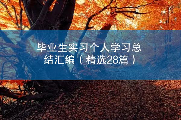 毕业生实习个人学习总结汇编（精选28篇）