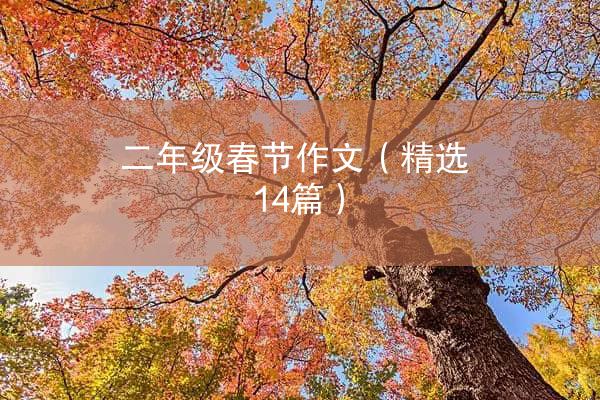 二年级春节作文（精选14篇）