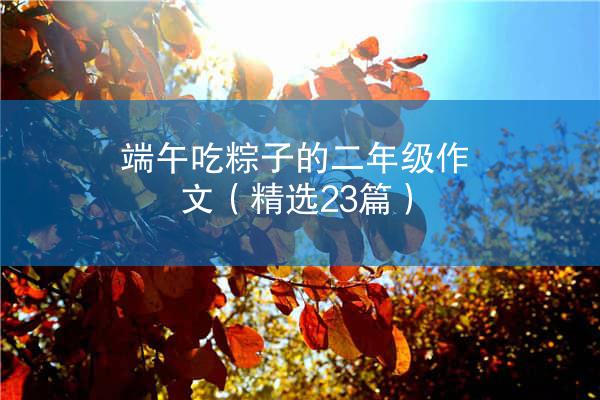 端午吃粽子的二年级作文（精选23篇）