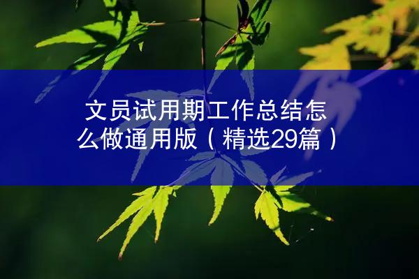 文员试用期工作总结怎么做通用版（精选29篇）