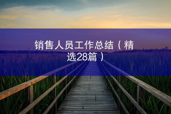 销售人员工作总结（精选28篇）