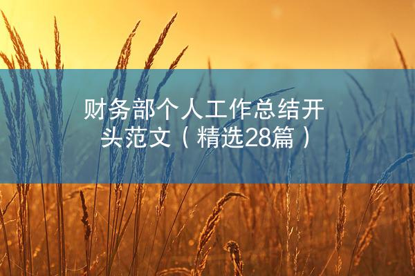 财务部个人工作总结开头范文（精选28篇）