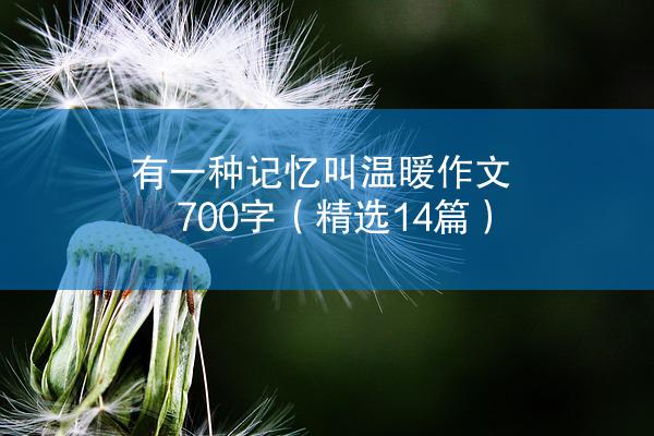 有一种记忆叫温暖作文700字（精选14篇）