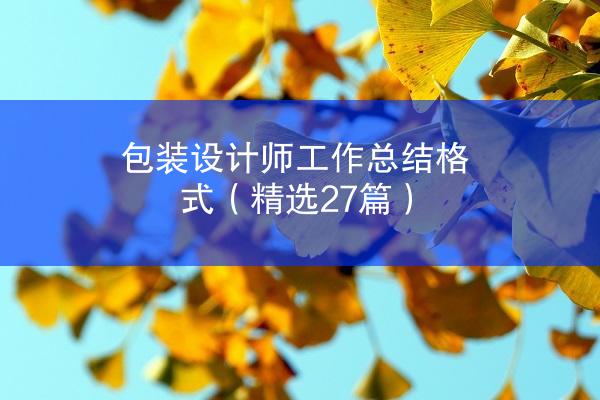 包装设计师工作总结格式（精选27篇）