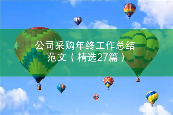 公司采购年终工作总结范文（精选27篇）