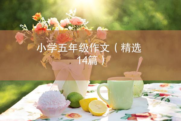 小学五年级作文（精选14篇）