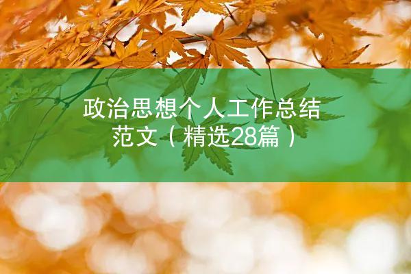 政治思想个人工作总结范文（精选28篇）