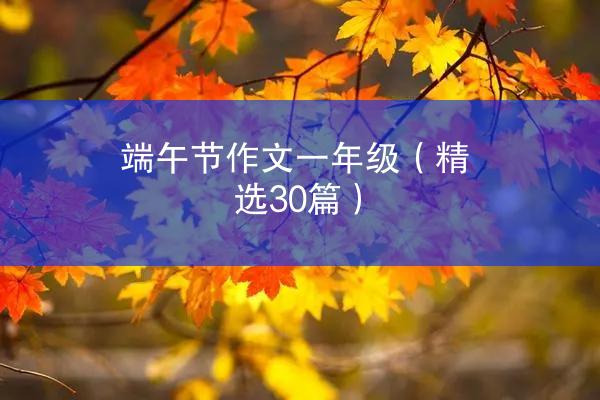 端午节作文一年级（精选30篇）