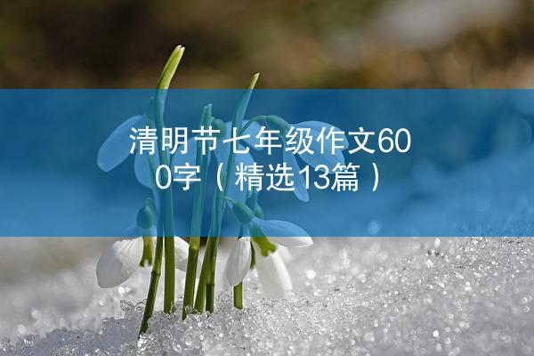 清明节七年级作文600字（精选13篇）