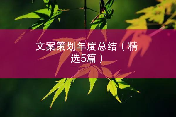 文案策划年度总结（精选5篇）