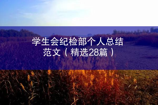 学生会纪检部个人总结范文（精选28篇）