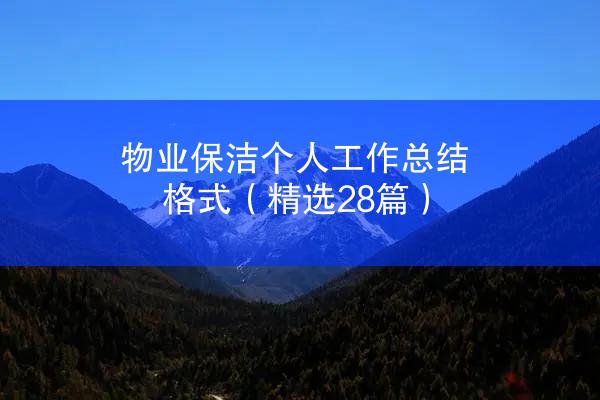 物业保洁个人工作总结格式（精选28篇）