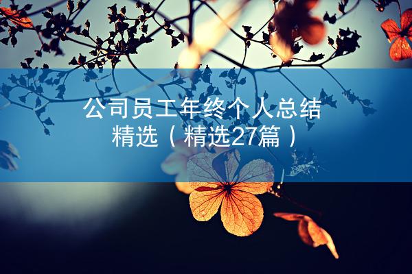 公司员工年终个人总结精选（精选27篇）