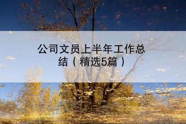 公司文员上半年工作总结（精选5篇）