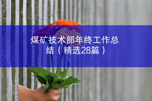 煤矿技术部年终工作总结（精选28篇）