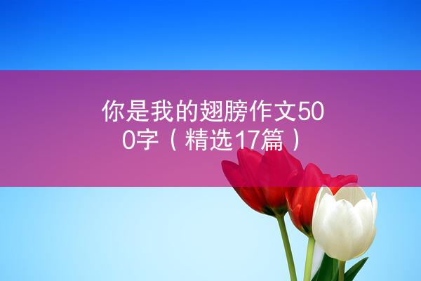 你是我的翅膀作文500字（精选17篇）