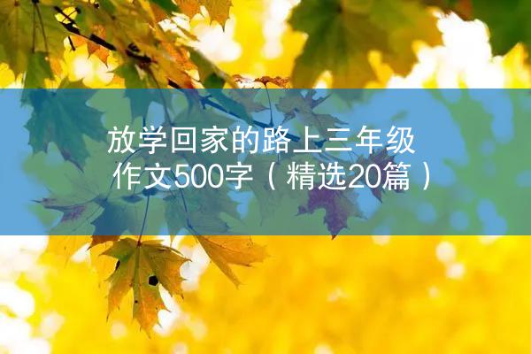 放学回家的路上三年级作文500字（精选20篇）