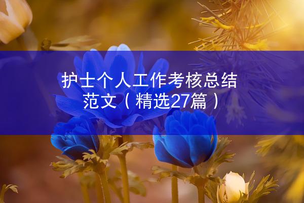 护士个人工作考核总结范文（精选27篇）