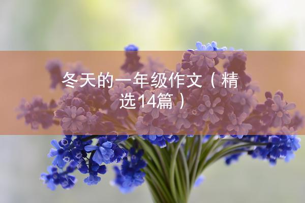 冬天的一年级作文（精选14篇）