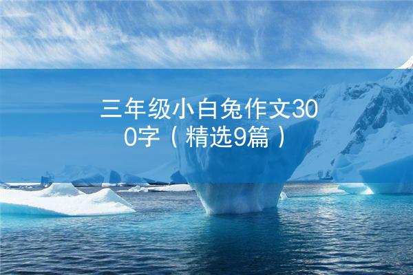 三年级小白兔作文300字（精选9篇）