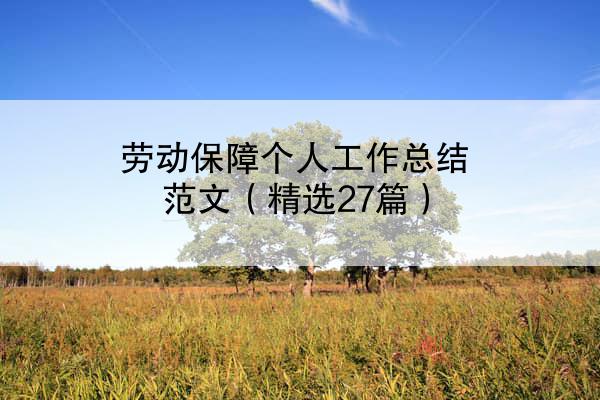 劳动保障个人工作总结范文（精选27篇）