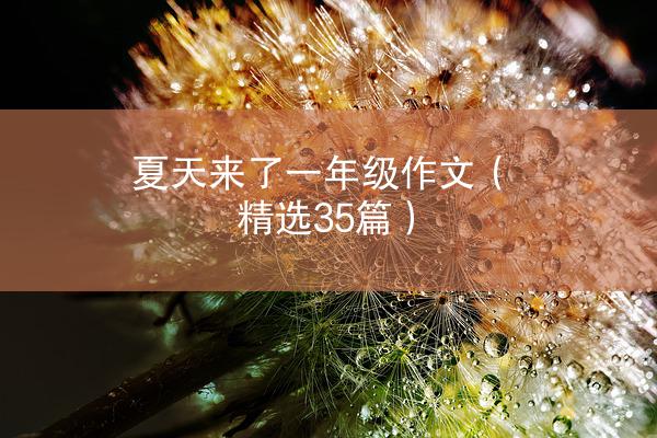 夏天来了一年级作文（精选35篇）