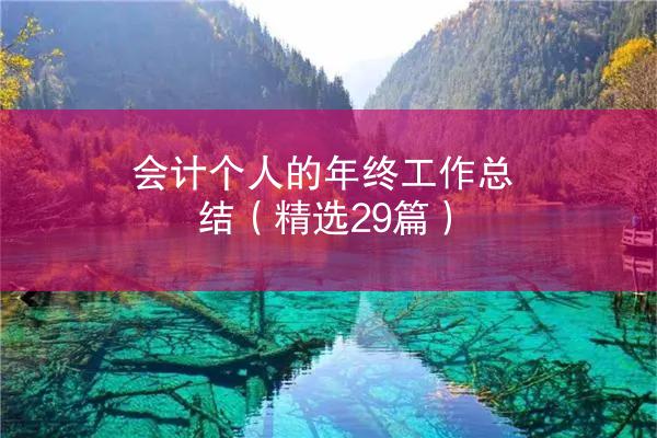 会计个人的年终工作总结（精选29篇）