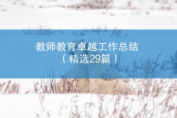 教师教育卓越工作总结（精选29篇）